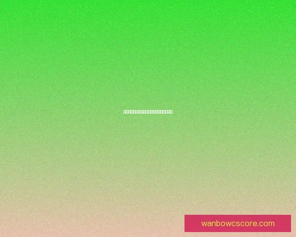 万博体育世界杯盛况回顾与精彩赛事全景解析